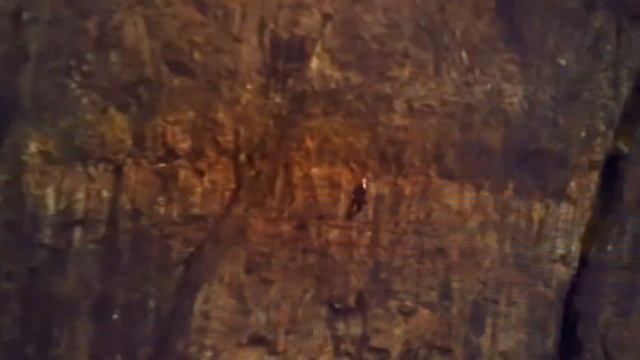 УПЛАВНЯЛКА (технология MEMC или TruMotion) на примере телевизора LG 2021 года. СРАВНИ свой Телек!