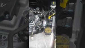 Шевроле кобальт авто газ все плюсы и минусы опыта владение. мой отзыв и мнение.