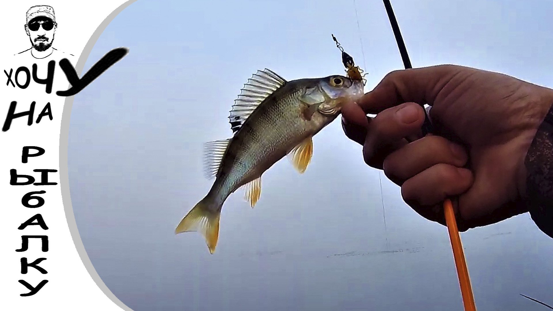 Вся рыбалка одним дублем))) Ловля окуня в густом тумане! смотреть онлайн