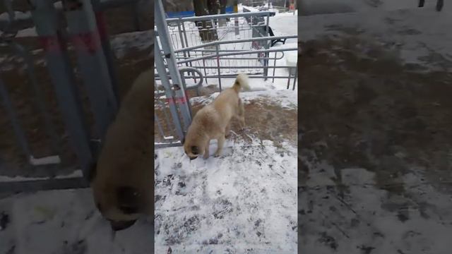 Верхний Баскунчак смотреть онлайн