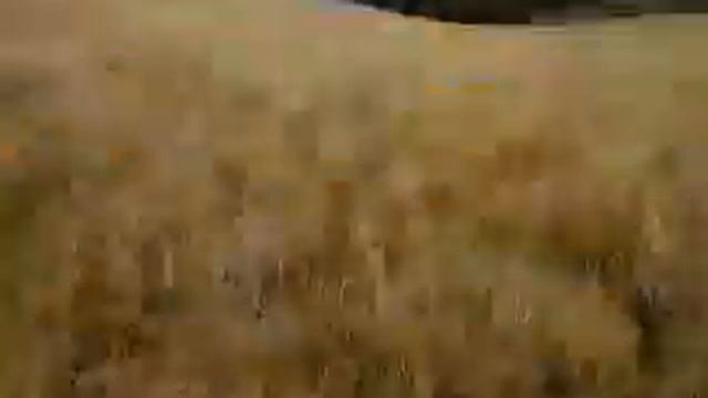 Мы идем на маяк в зиянчурине часть 2 смотреть онлайн