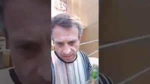 КУДА ПРОПАЛ БУХГАЛТЕР АНДРЕЯ ЩАДИЛО ??? БУХ МОПСА