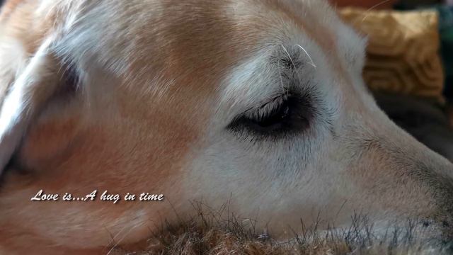 WHAT IS LOVE - Love is... смотреть онлайн