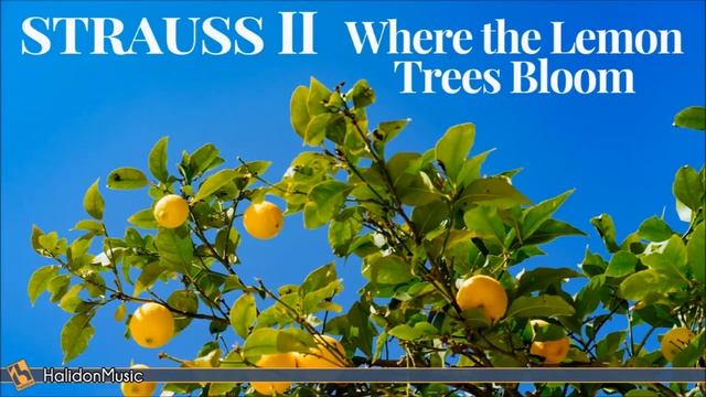 Johann Strauss II Greatest Waltzes Collection смотреть онлайн