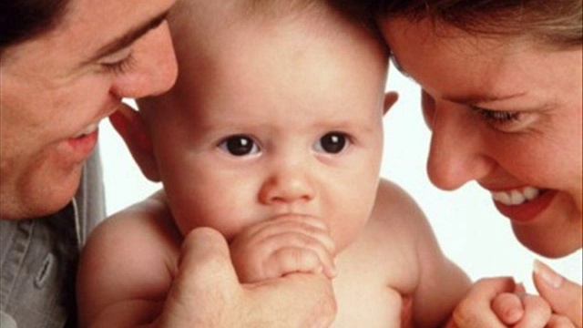 Носики Курносики смотреть онлайн