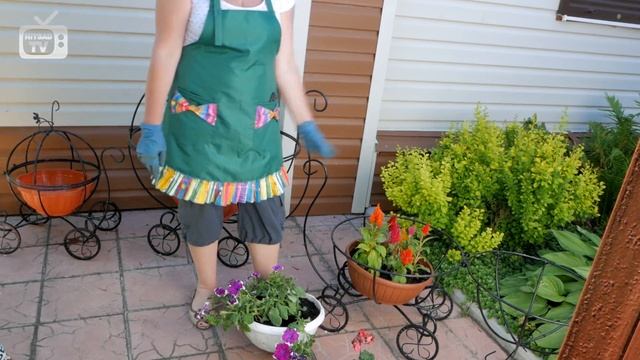 Простой дизайн сада ➡ Цветочная композиция в цветочной карете тыкве ? Садовый декор от Hitsad.ru