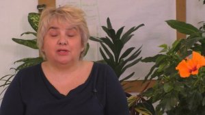 БИДЕНС Через 10 Дней ПОСЛЕ ПОСЕВА. Мои цветы. Мой опыт.