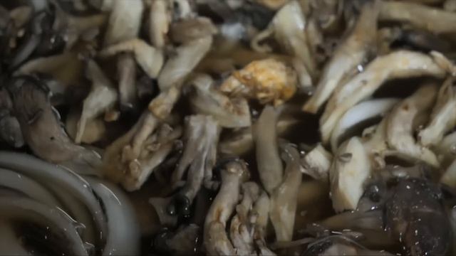 팔리는 양이 역대급? 하루 30판씩 나가는 떡볶이부터 단체주문 폭주하는 닭강정까지 TOP6 몰아보기 / Amazing Top6 Korean Street Food