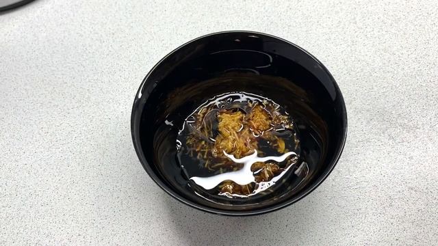 Наука о Животных и их Поведение