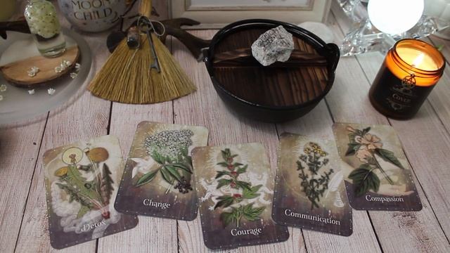 Moon Magick | Oracle Decks | Ritual Tea for Changing Times смотреть онлайн