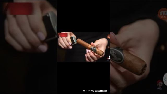 Что нельзя ставить в рот.DZ смотреть онлайн