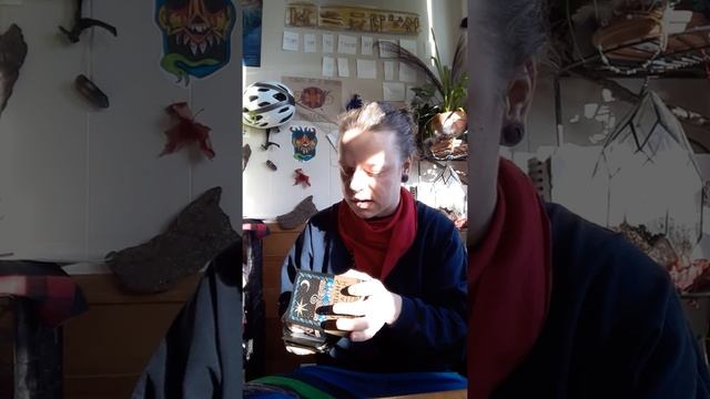 Review of Shamanic Healing Oracle by Michelle A. Motuzas смотреть онлайн