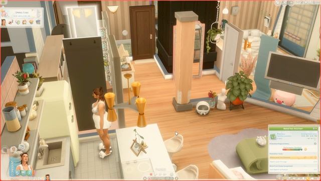 Introduction: Anita's Adventures | The Sims 4: Let's Play Series смотреть онлайн