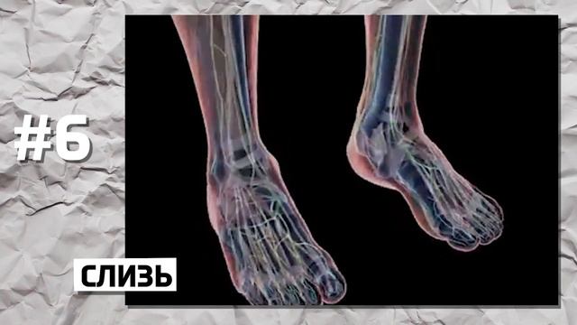 10 МЕРЗКИХ ФАКТОВ О ЧЕЛОВЕЧЕСКОМ ТЕЛЕ смотреть онлайн