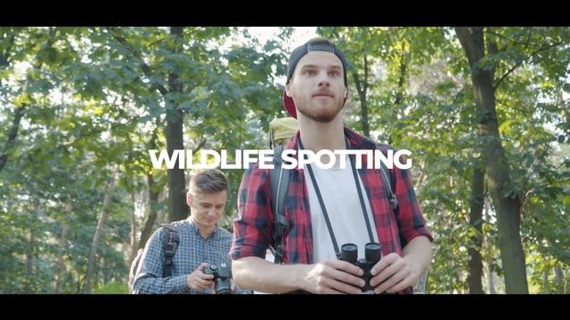 What Is Ecotourism & Why Should We Be Ecotourists? смотреть онлайн