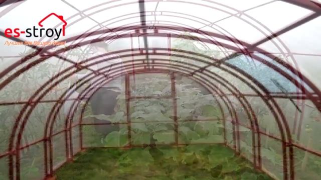 Кремлевские теплицы – теплицы и парники из поликарбоната от производителя Новые Формы Кимры смотреть онлайн