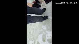 Зимняя ловля ельца на мормышку