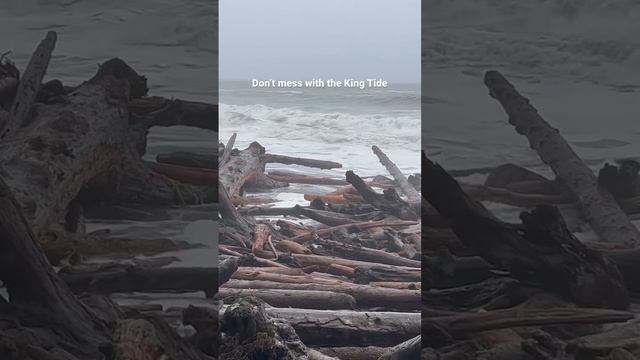 10+ tides show us why we don’t play on the driftwood during high tide. смотреть онлайн