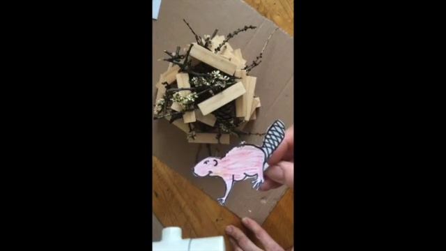 По следам Кастора - бобер и его хатка смотреть онлайн