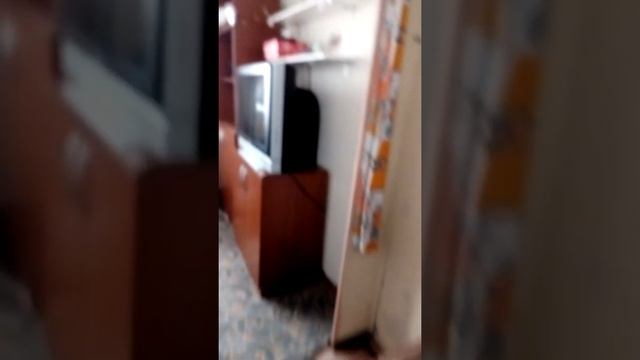 #Дача#дом#участок Купили дачу в 2018 году за 250 тысяч рублей. смотреть онлайн