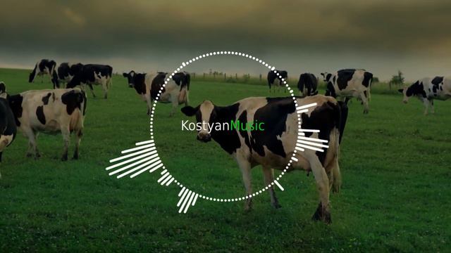 У коровы нет других забот (Phonk remix by KostyanMusic) смотреть онлайн