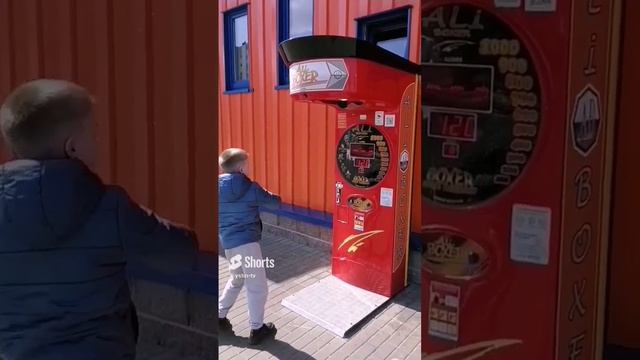 Порхай, как бабочка. Жаль, как пчела. #shorts смотреть онлайн