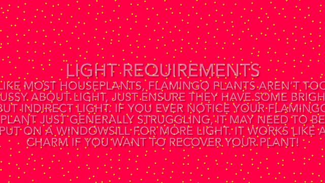 A Full Care Guide To The Anthurium Andreanum (Flamingo Plant)