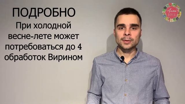 Уничтожаем совку! Технология от Аллея Вкуса смотреть онлайн