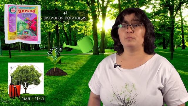 Циркон и Эпин - антистрессы для растений. смотреть онлайн