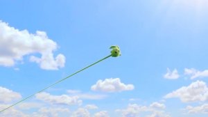 SUNNY BUNNIES - Hopper The Mummy | Season 6 | Cartoons for Children