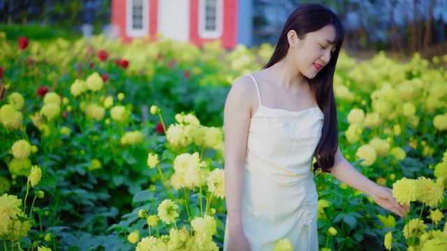 Can't Help Falling In Love Saxophone Mp3 Download 🎷Swing saxophone music 419 смотреть онлайн