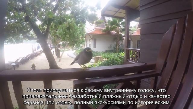 Как выбрать место для хорошего отдыха (Доминиканские острова или Таиланд) смотреть онлайн