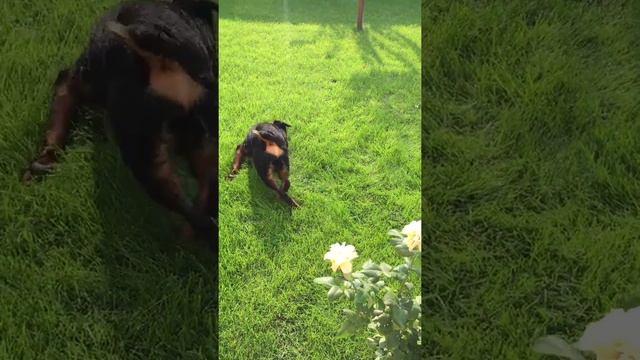 11 октября 2015 г. смотреть онлайн