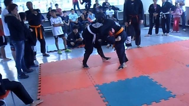 jean vs lucas -equipe hanter tiger hapki-do смотреть онлайн
