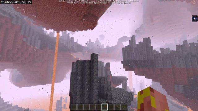 The WORST Beta Bug Revealed, & Mob Despawning Info! Minecraft Bedrock (1.16 Nether Update Beta) смотреть онлайн