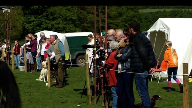 Fell Pony Show galloped a head over the weekend. смотреть онлайн