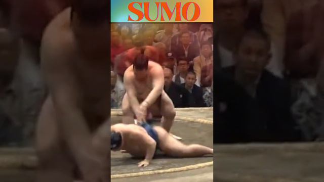 Top Sumo 🔥Throws & Clashes! #ytshort смотреть онлайн
