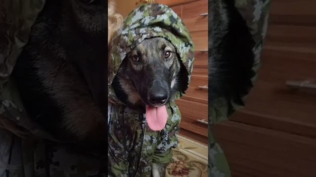 КАК КАПЮШОН ОДЕВАЮ - НА ВОРЮГУ СРАЗУ ПОХОЖ смотреть онлайн