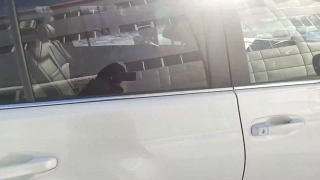 Toyota Land Cruiser Prado 2019 GDJ151