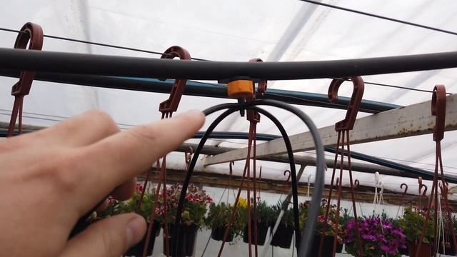 Делаю КАПЕЛЬНЫЙ ПОЛИВ для Цветов. Своими руками. смотреть онлайн