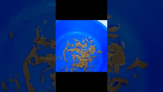 Как очистить ВЫТЯЖКУ от жира// Как почистить ФИЛЬТР вытяжки от жира легко// Результат чистки 100% смотреть онлайн