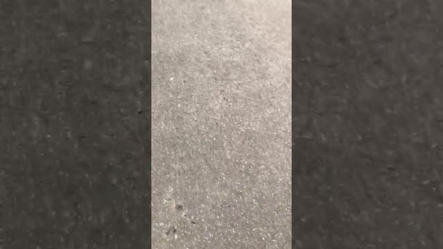 The coat ripping experience смотреть онлайн