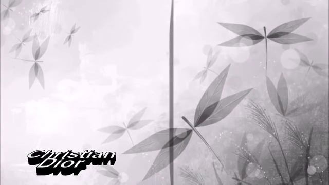 Мода. Коллекция женских брюк смотреть онлайн