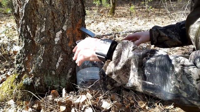 Грибные вкусные изыски