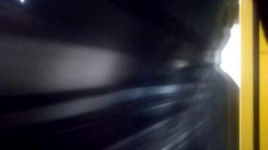 Арбатско-Покровская линия метро. Именной Русич "Лапки и Хвостики". Щёлковская - Пятницкое шоссе.