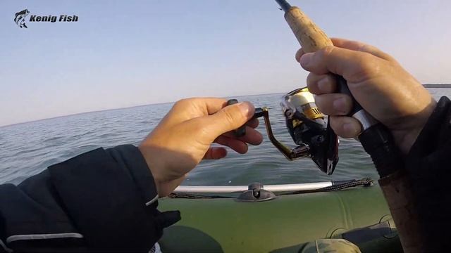 Ловля судака в Калининградском заливе / сентябрь 2020 смотреть онлайн