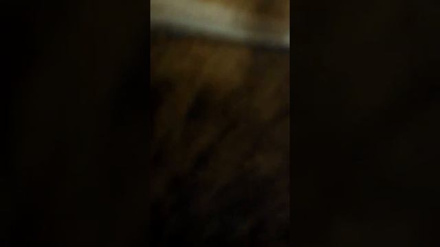 руслан и элиза