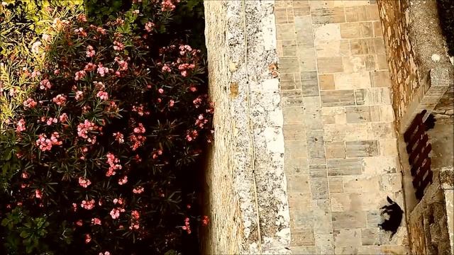 Talamanca - Secret (Preview) смотреть онлайн