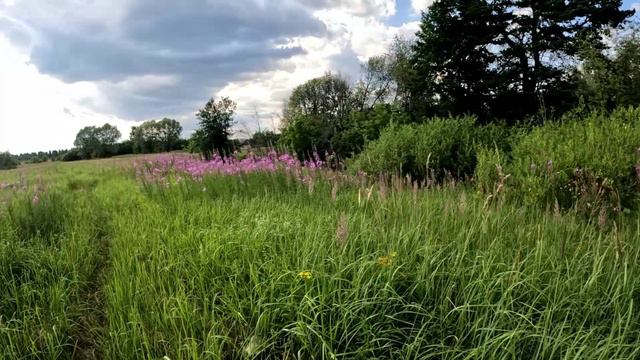 15 июля . На весах +1 кг смотреть онлайн
