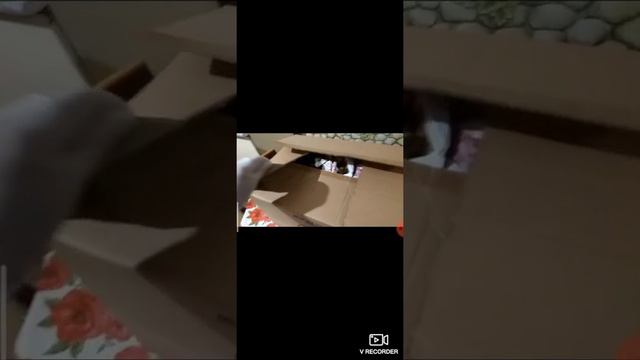 Отзыв о Дарьин двор Ульяновск . Отзыв из Астрахани от Марины и Ирины смотреть онлайн